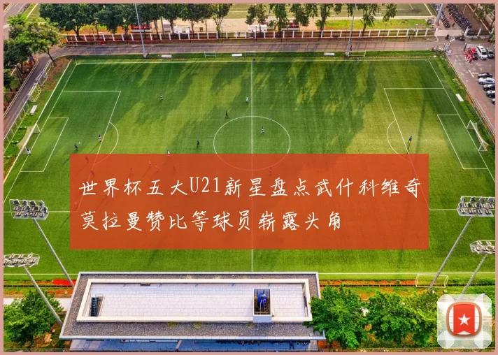 世界杯五大U21新星盘点武什科维奇莫拉曼赞比等球员崭露头角